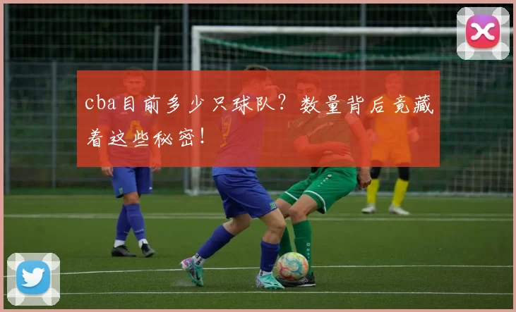 cba目前多少只球队？数量背后竟藏着这些秘密！